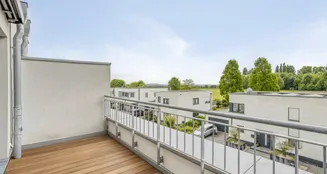 von_poll_real_estate_property_25075065_image_16