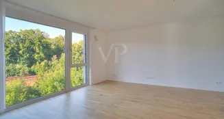 von_poll_real_estate_property_25188038_image_24