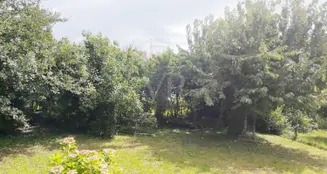 von_poll_real_estate_property_25188043_image_2