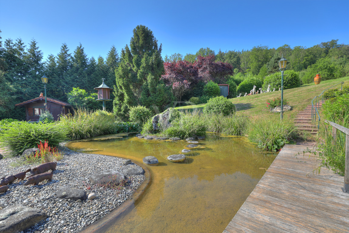 Teich mit Blockhaus