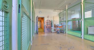 von_poll_real_estate_property_25188877_image_13