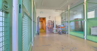 von_poll_real_estate_property_25188887_image_13