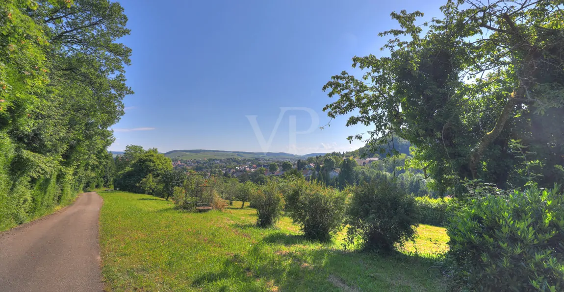 Zufahrt Grundstück oben