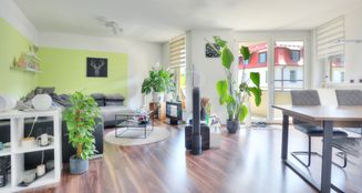 von_poll_real_estate_property_25188060_image_8