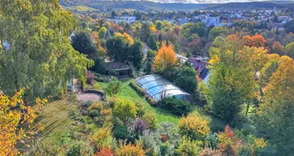 von_poll_real_estate_property_25188068_image_6