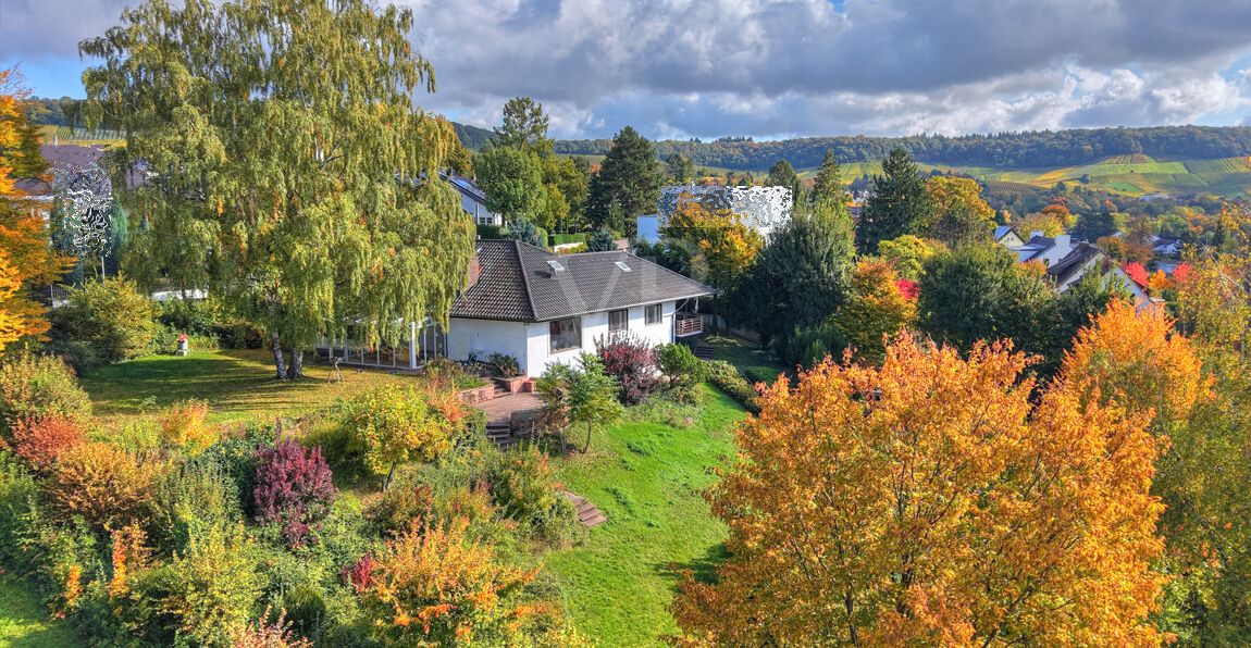 Fernblick