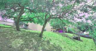von_poll_real_estate_property_25188069_image_3