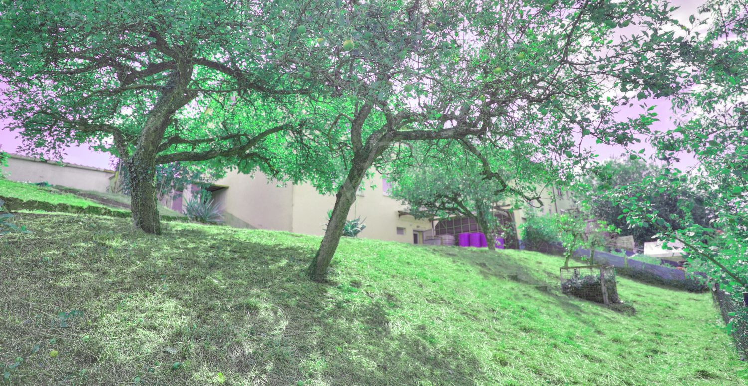 Gartenansicht