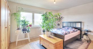 von_poll_real_estate_property_25188069_image_20