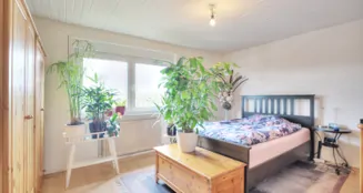 von_poll_real_estate_property_25188098_image_15