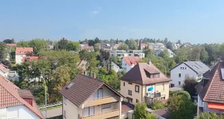 von_poll_real_estate_property_25188078_image_19