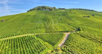 von_poll_real_estate_property_25188086_image_22