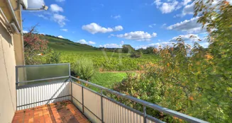 von_poll_real_estate_property_25188086_image_21