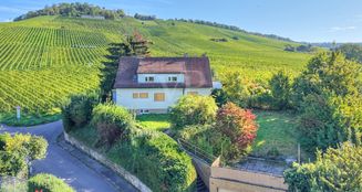 von_poll_real_estate_property_25188086_image_9
