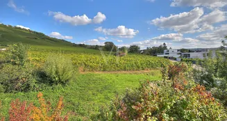 von_poll_real_estate_property_25188086_image_26