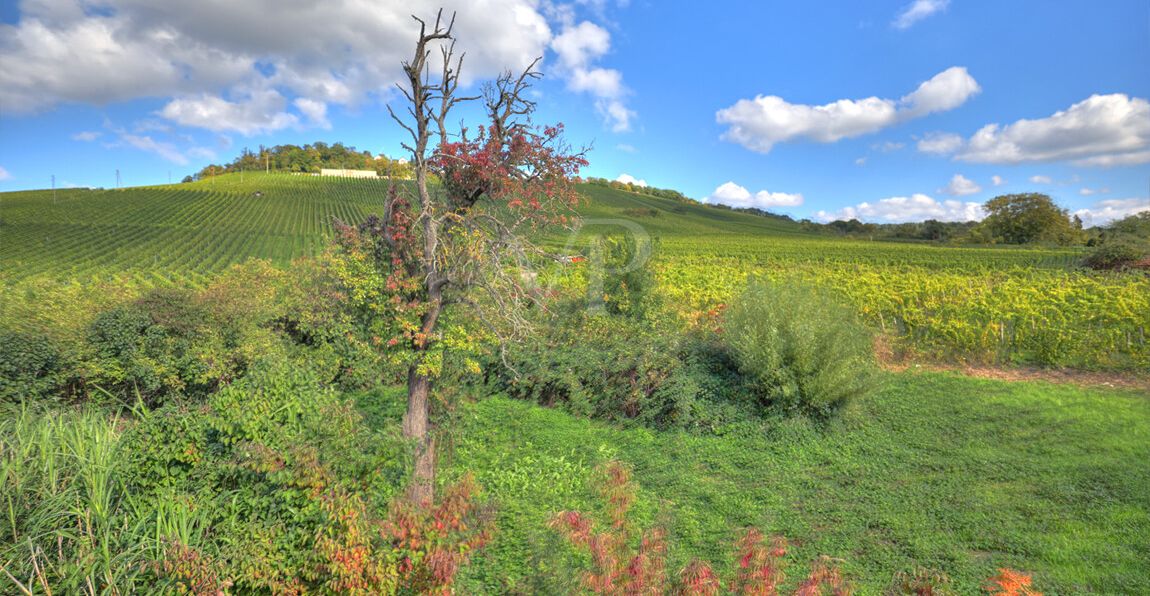 Wartbergblick