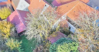 von_poll_real_estate_property_25188093_image_6