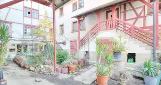 von_poll_real_estate_property_25188093_image_12