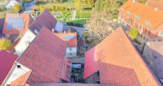 von_poll_real_estate_property_25188093_image_5