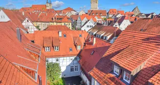 von_poll_real_estate_property_25188095_image_33