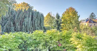 von_poll_real_estate_property_25188176_image_20