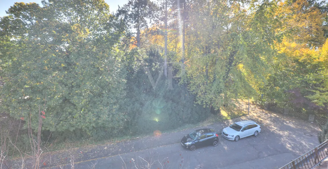 Ausblick Richtung Pfühlpark