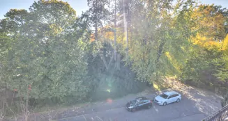 von_poll_real_estate_property_25188176_image_18