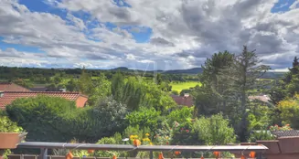 von_poll_real_estate_property_25188264_image_21