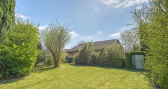 von_poll_real_estate_property_25188210_image_20