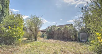 von_poll_real_estate_property_25188210_image_19