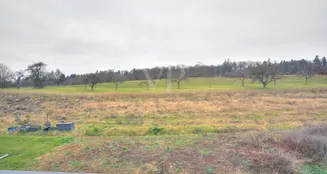 von_poll_real_estate_property_25188115_image_23