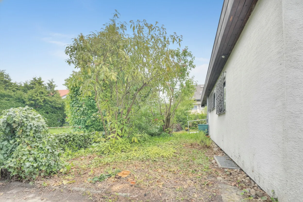 Garten vor dem Haus
