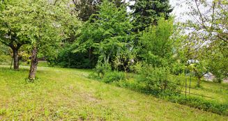 von_poll_real_estate_property_25188362_image_18