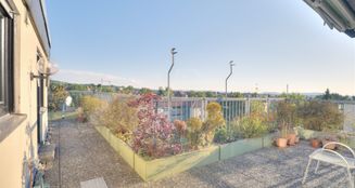 von_poll_real_estate_property_25188017_image_2