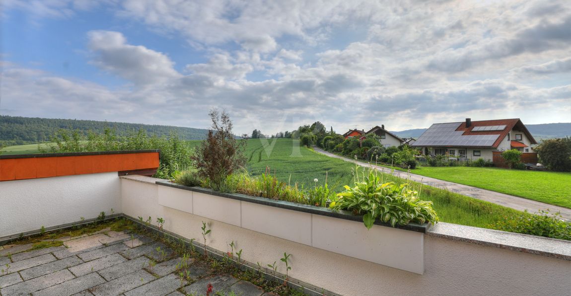 Fernblick