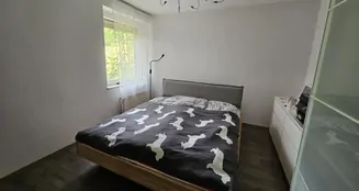 von_poll_real_estate_property_25169019_image_9