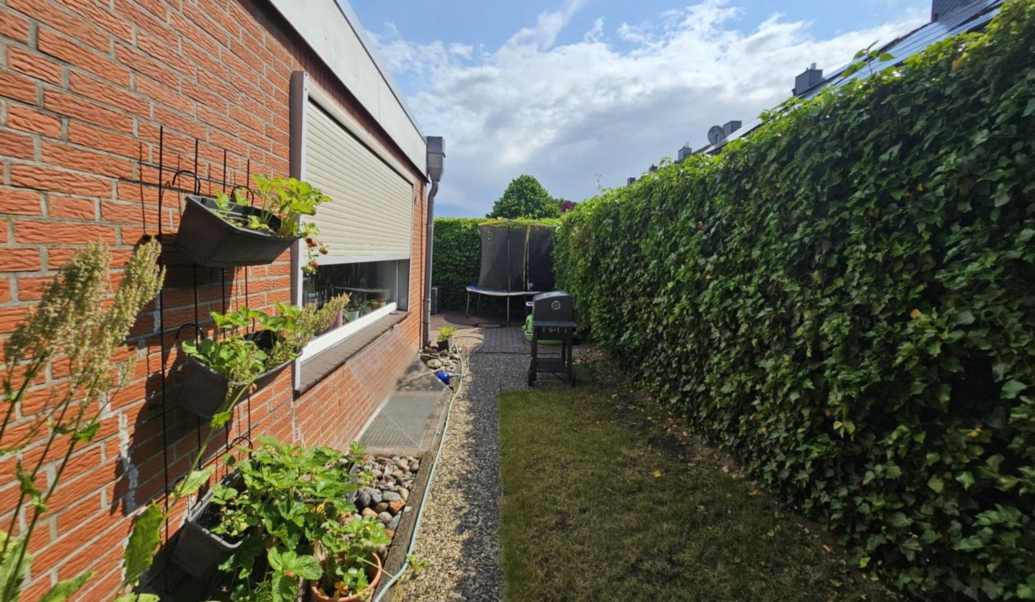 Seitenansicht