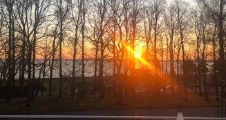 von_poll_real_estate_property_25091003_image_17