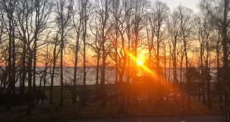 von_poll_real_estate_property_25091003_image_17