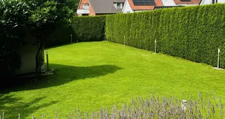 von_poll_real_estate_property_25169030_image_26