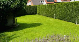 von_poll_real_estate_property_25169030_image_26