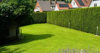 von_poll_real_estate_property_25169030_image_26