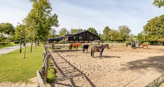 von_poll_real_estate_property_25169010_1_image_14