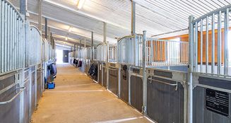 von_poll_real_estate_property_25169010_1_image_17