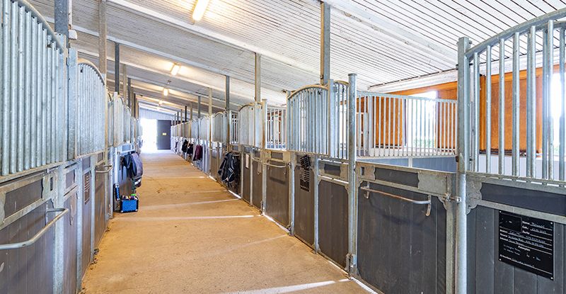 Reitbetrieb - Pferdeboxen