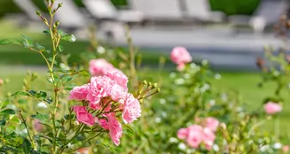 von_poll_real_estate_property_25169010_1_image_19