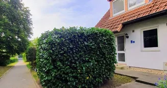 von_poll_real_estate_property_25091002_3_image_1