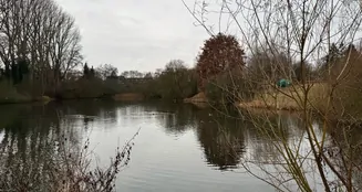 von_poll_real_estate_property_25169035_image_19