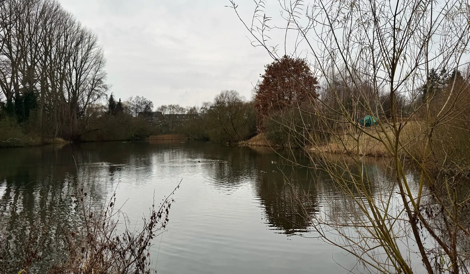 Nur ein kurzer Spaziergang von Ihrem Zuhause zum Mühlenteich