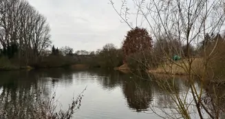 von_poll_real_estate_property_25169035_image_19